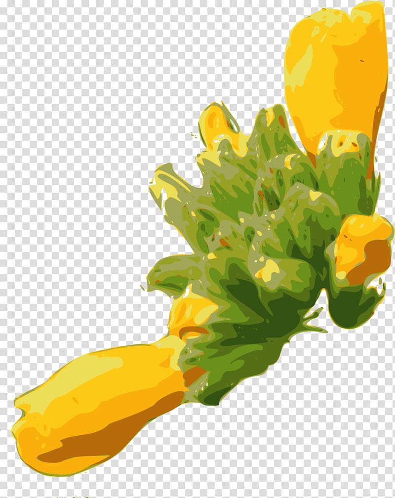 Flower , plants transparent background PNG clipart
