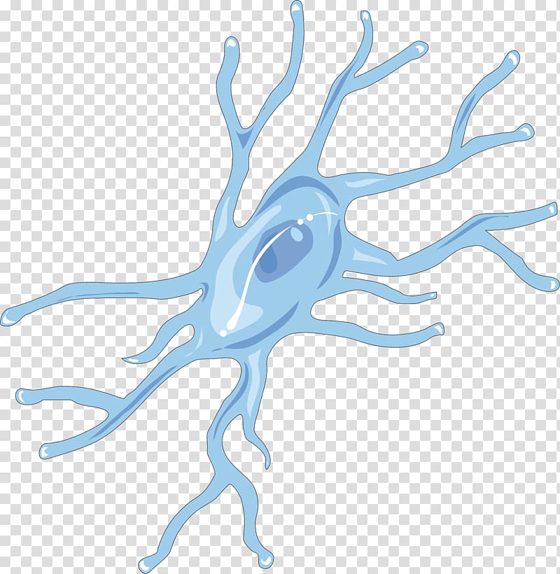 Microglia Brain Neuroglia Cell Remyelination, drug transparent background PNG clipart