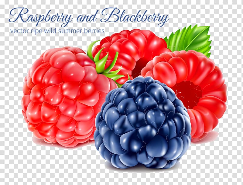 Juice Blueberry Raspberry Blackberry, Raspberry transparent background PNG clipart