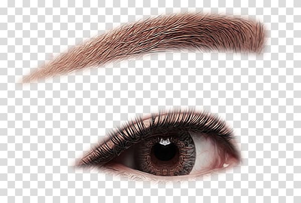 dark eyebrows eyebrows effect transparent background PNG clipart