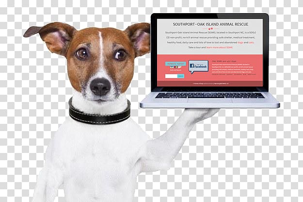Dog Pet Credit card Debit card, pet adoption transparent background PNG clipart