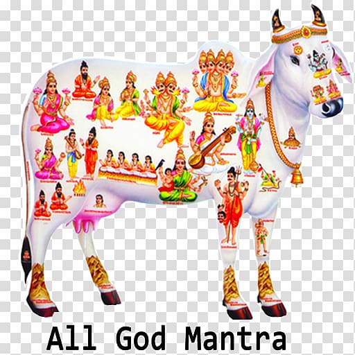 Cattle in religion and mythology Kamadhenu Krishna Hinduism Hindu mythology, krishna transparent background PNG clipart