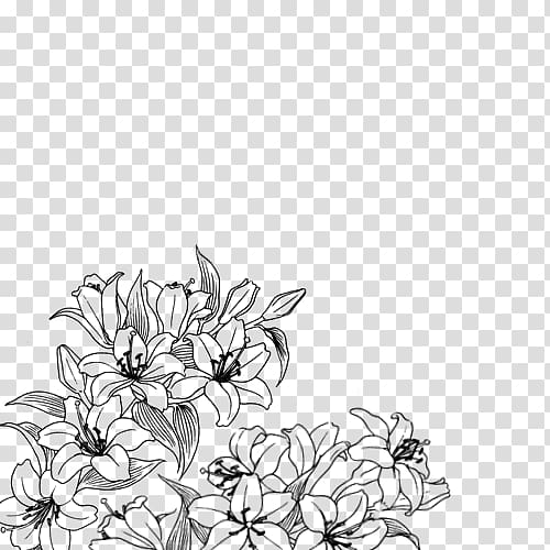 flower transparent drawing