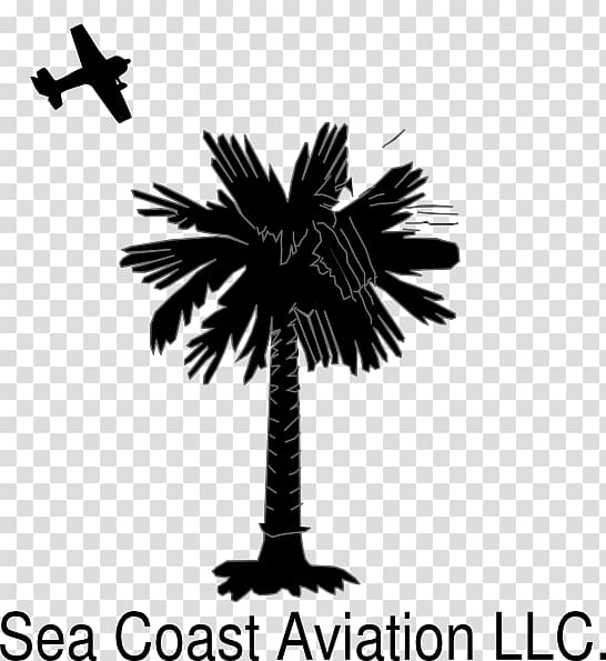 Sabal Palm Arecaceae Flag of South Carolina Tree, tree transparent background PNG clipart