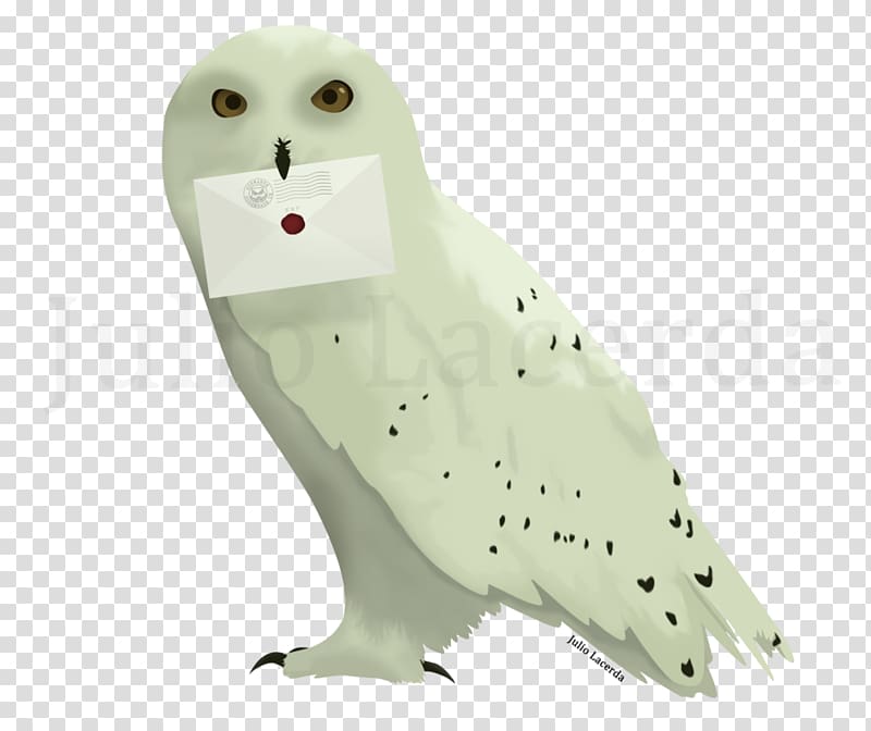 Owl Harry Potter and the Deathly Hallows Hogwarts Hedwig, post it transparent background PNG clipart