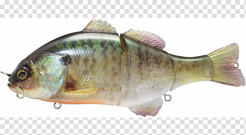 Perch Fishing Baits & Lures Swimbait Jackall, Fishing transparent background PNG clipart