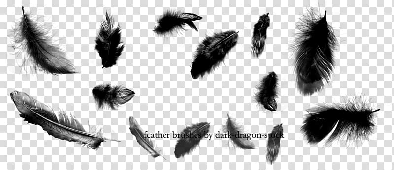 Brush Feather Illustrator , dark transparent background PNG clipart