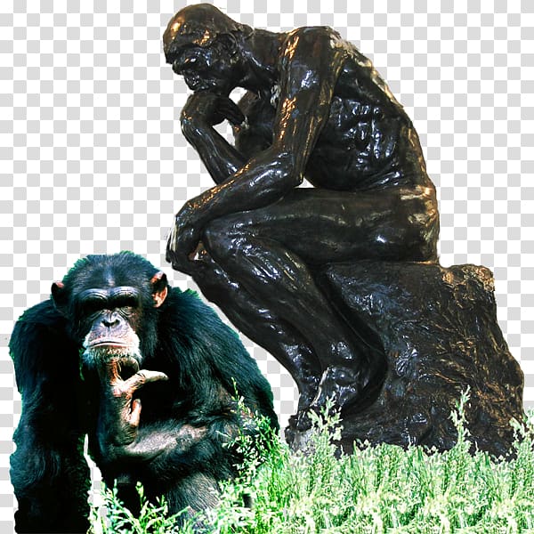 Common chimpanzee Western gorilla Sculpture Monkey Pyrexia EP, Hemingway transparent background PNG clipart