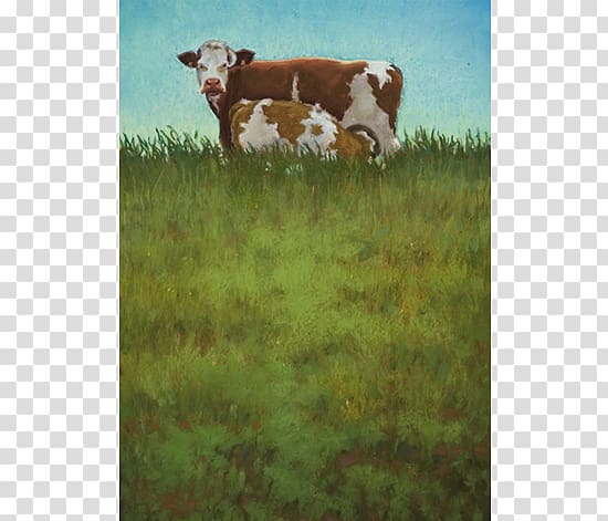 Dairy cattle Pastel Calf Painting, WATERCOLOR COWS transparent background PNG clipart