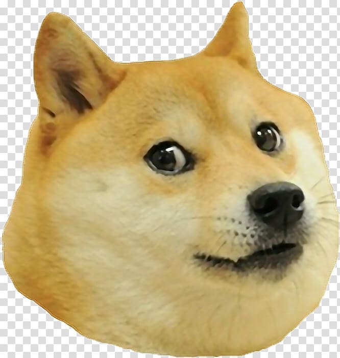 Shiba Inu Dogecoin, others transparent background PNG clipart