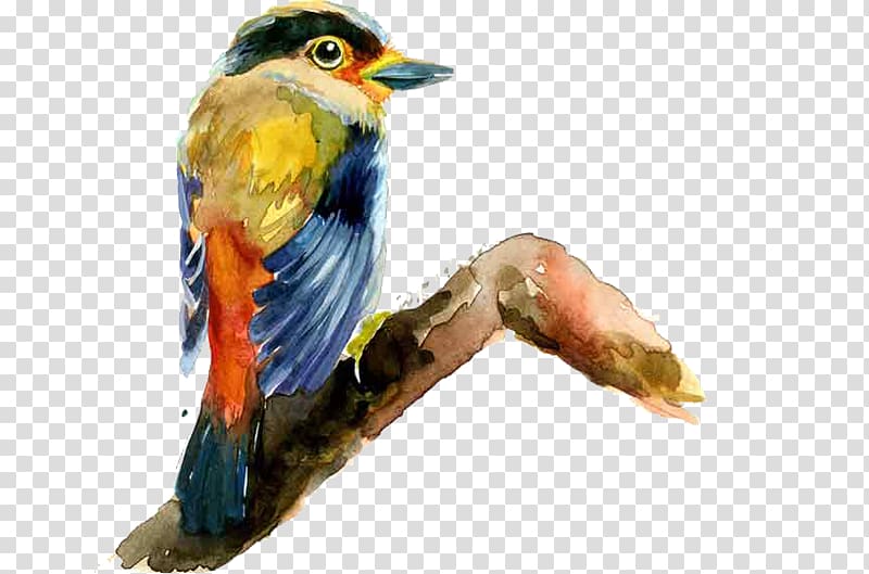 Bird Drawing Painting, bird transparent background PNG clipart