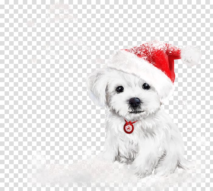 Puppy Labrador Retriever Kitten Christmas Painting, puppy transparent background PNG clipart