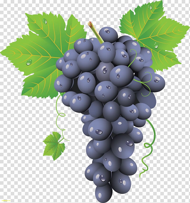 Common Grape Vine Red Wine Chardonnay, grape juice transparent background PNG clipart