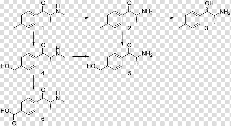 Phenylalanine Substituted phenethylamine Tyrosine Amino acid, others transparent background PNG clipart