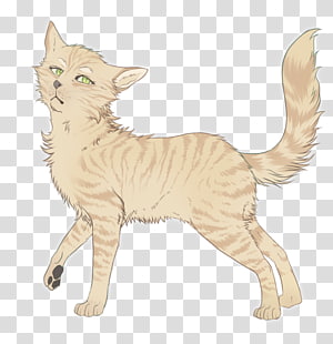 Warriors Warriorcats Po3 Warrior Cats Chibis Thunderclan - Mac App Store  Icon - Free Transparent PNG Clipart Images Download