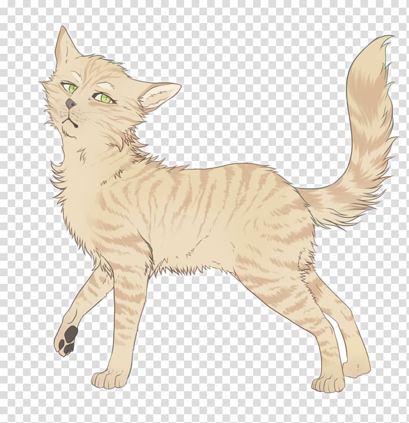 Warriors Sandstorm Firestar Cat Drawing, Cat transparent background PNG clipart