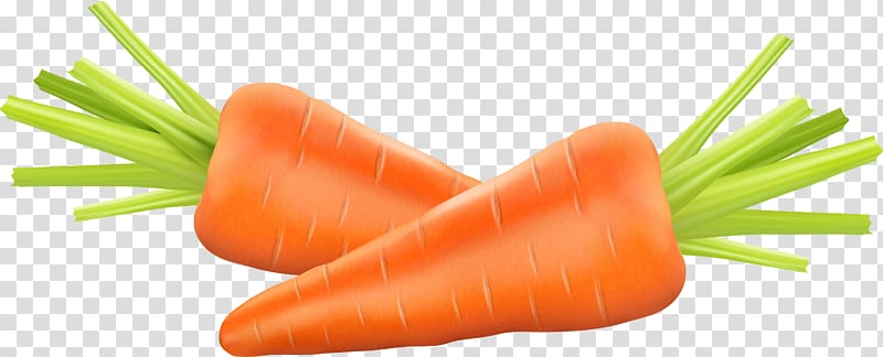 two carrots illustration, Carrot Euclidean , carrot transparent background PNG clipart