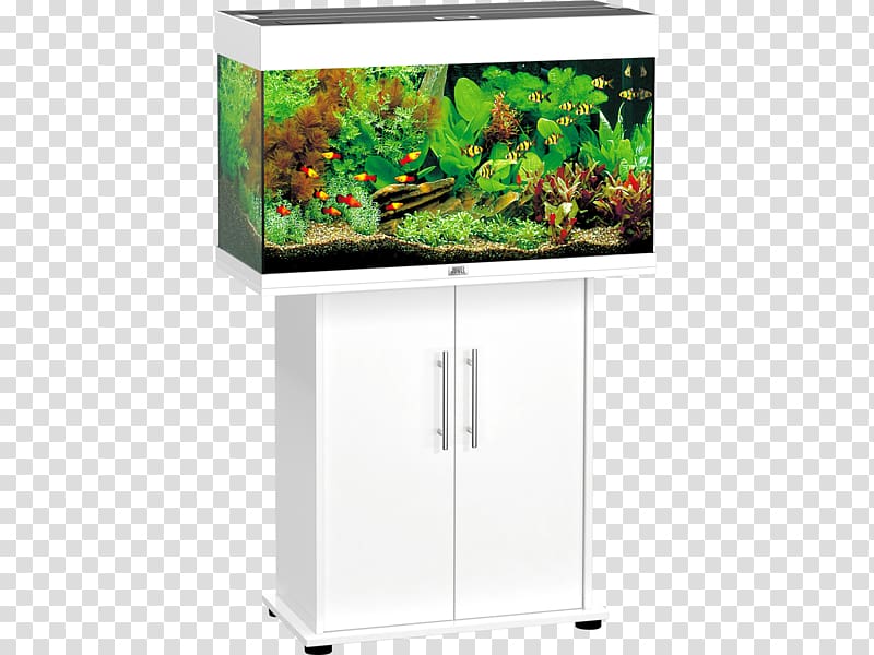 Aquariums Juwel Tropical fish Aquarium lighting, Aquarium transparent background PNG clipart