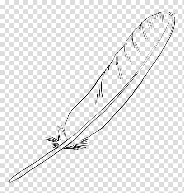 Feather Line art Drawing, line drawing transparent background PNG clipart