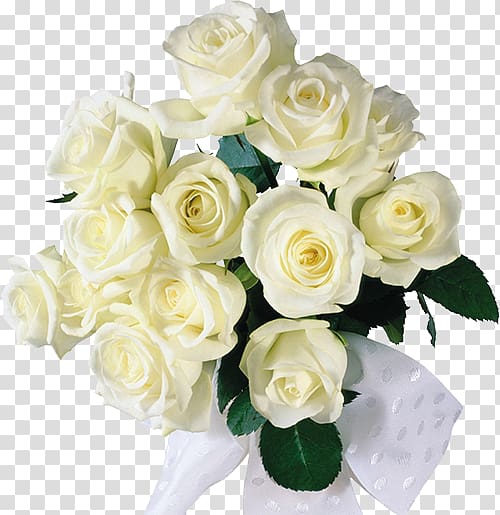 Flower bouquet Rose Wedding, White roses bouquet transparent background PNG clipart