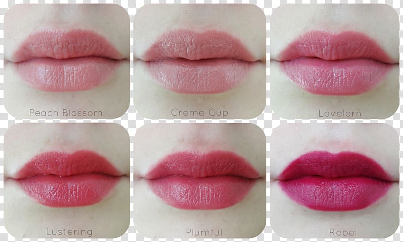 Lipstick MAC Cosmetics Lip gloss, peach blossom transparent background PNG clipart