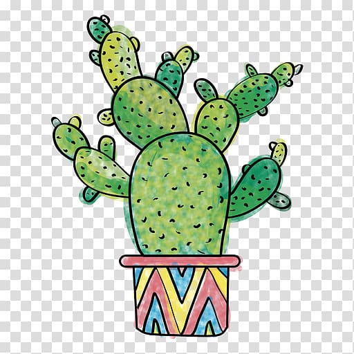 Pilosocereus Drawing Illustration, Green cactus transparent background PNG clipart