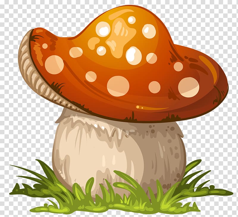 Fungus Mushroom , Plump mushrooms transparent background PNG clipart