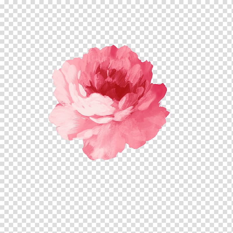 pink flower illustration, Flower Watercolor painting Pink, Watercolor flower transparent background PNG clipart