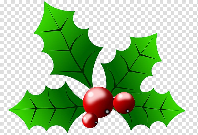 Common holly Christmas , Holly With Berries transparent background PNG clipart