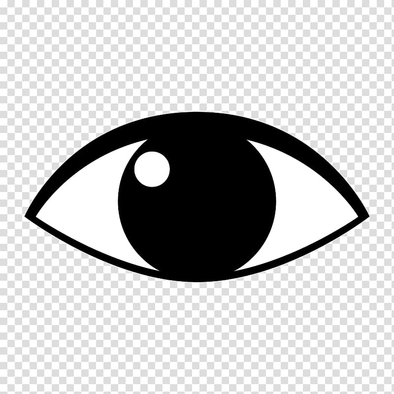 Human eye , Animal Eyeball transparent background PNG clipart