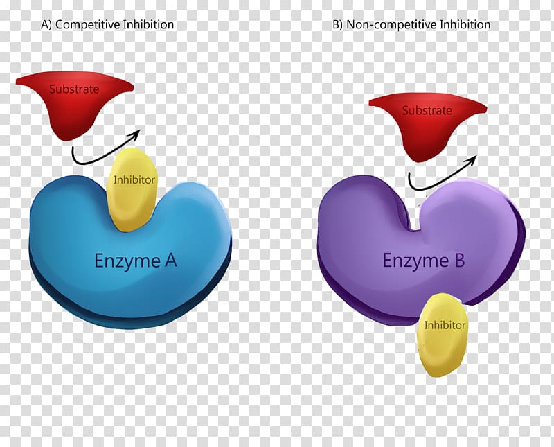 Enzyme inhibitor Competitive inhibition Allosteric regulation Reaction inhibitor, enzyme activity transparent background PNG clipart