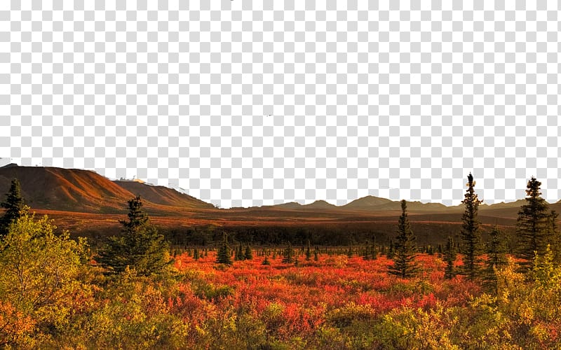 1080p High-definition television Nature High-definition video , United States Denali National Park eight transparent background PNG clipart