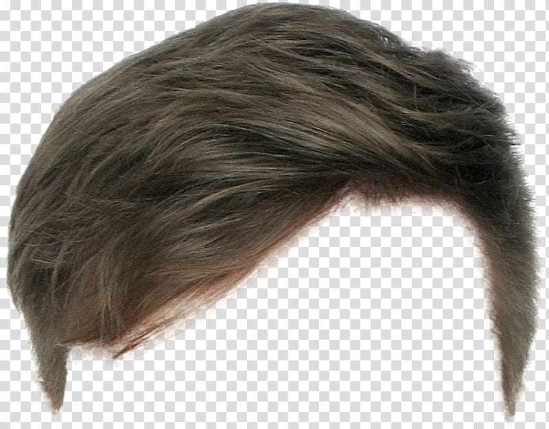 Hairstyle Wig Long hair Beard, hair transparent background PNG clipart
