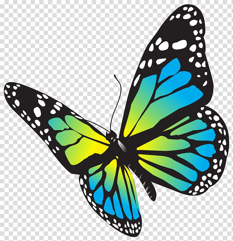 Monarch butterfly Drawing , blue butterfly transparent background PNG clipart