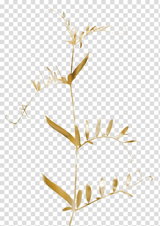 Twig Leaf Gold Tree, Leaf transparent background PNG clipart