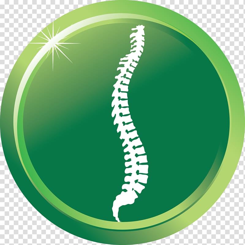 Chiropractic treatment techniques Chiropractor Health Care Back pain, others transparent background PNG clipart