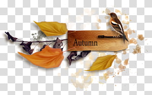 autumn transparent background PNG clipart thumbnail