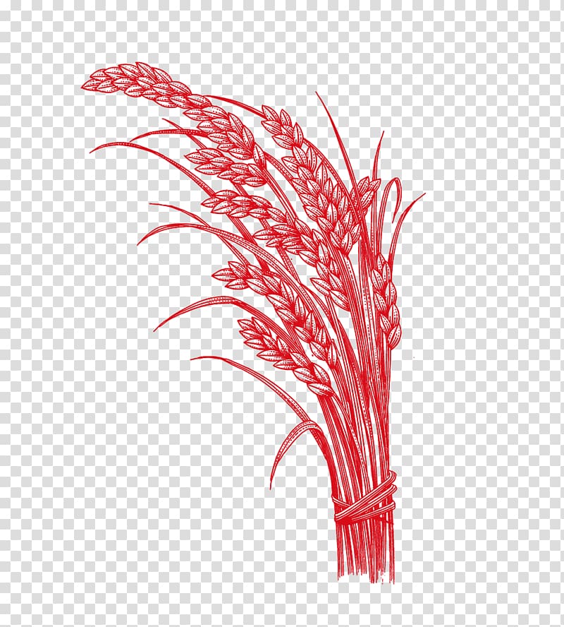 Rice Five Grains u6742u8c37, Red Rice transparent background PNG clipart