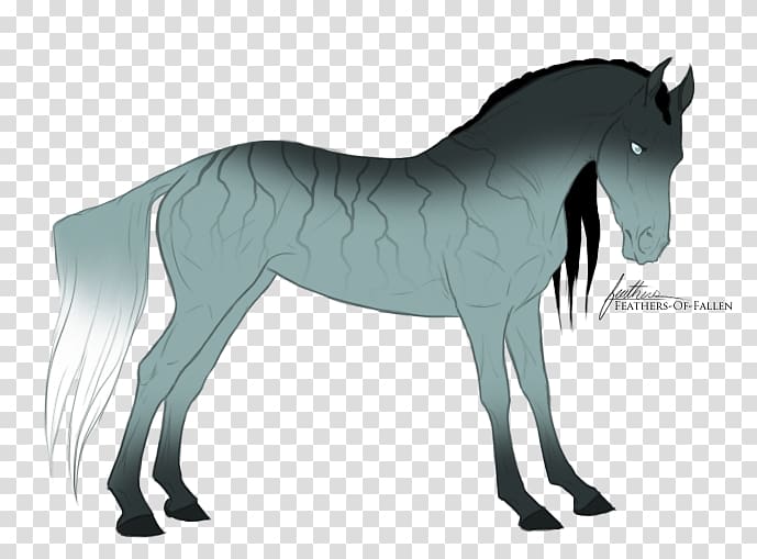 Stallion Mustang Foal Colt Mare, mustang transparent background PNG clipart