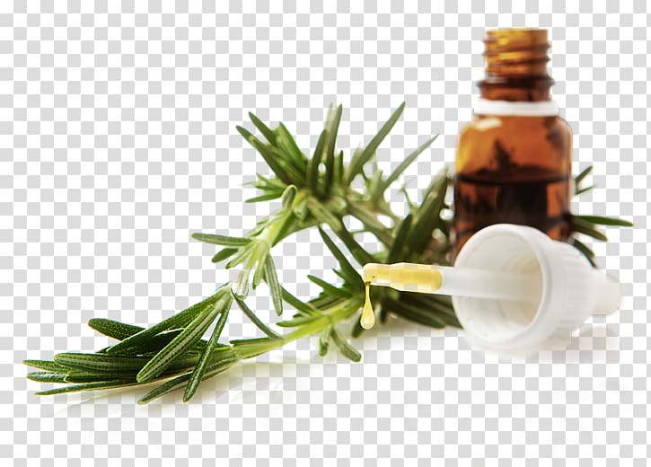 Essential oil Recipe Lavender oil Food, essential oil transparent background PNG clipart