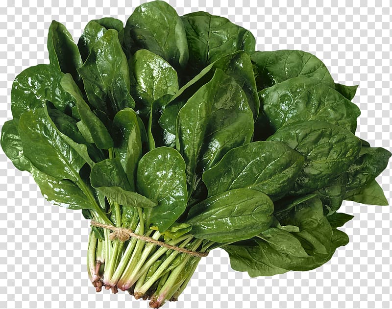Malabar spinach Lettuce Vegetable Lasagne, Salad transparent background PNG clipart