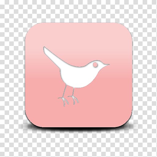 Bird Computer Icons Beak, Bird transparent background PNG clipart