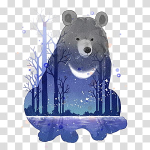 bear PNG transparent image download, size: 3364x2644px