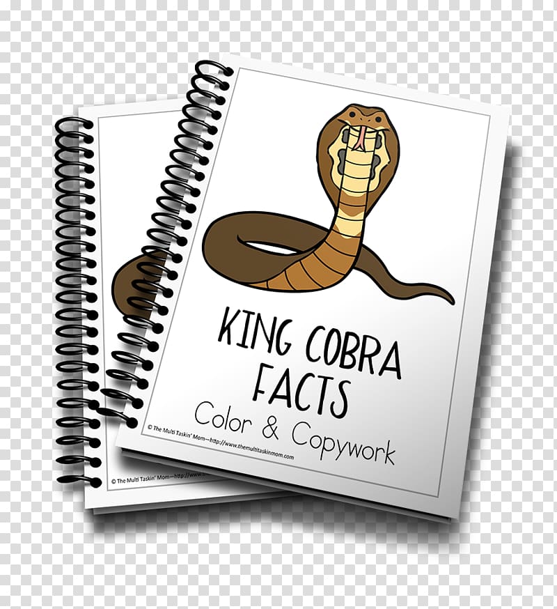 Book of Jonah Bible Flip book E-book, King Cobra transparent background PNG clipart