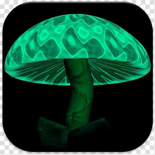 Psilocybin mushroom Desktop Hallucinogen Psychedelic drug, mushroom transparent background PNG clipart