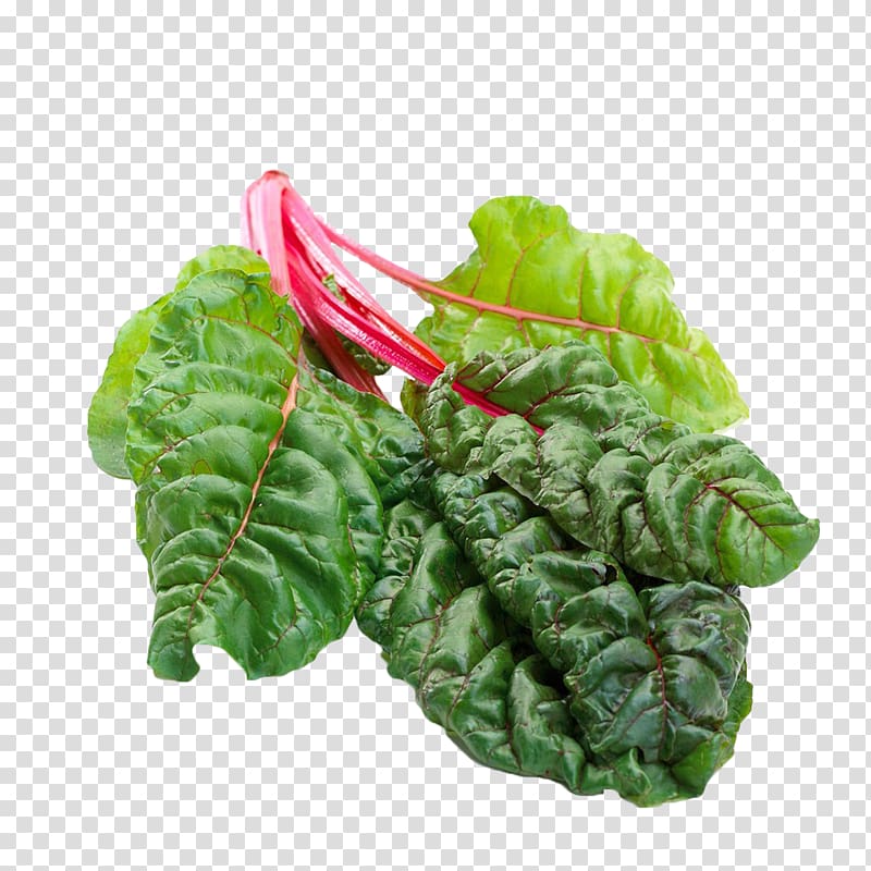 Chard Romaine lettuce Beetroot Leaf, Green beet leaves transparent background PNG clipart