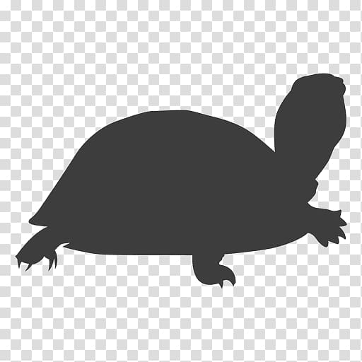 Tortoise Sea turtle Silhouette Reptile, Watercolor turtle transparent background PNG clipart