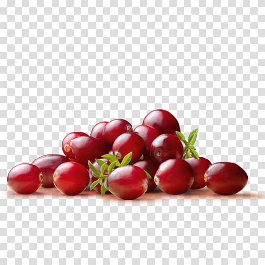 Cranberry juice Dried cranberry Bilberry, tropical fruit transparent background PNG clipart