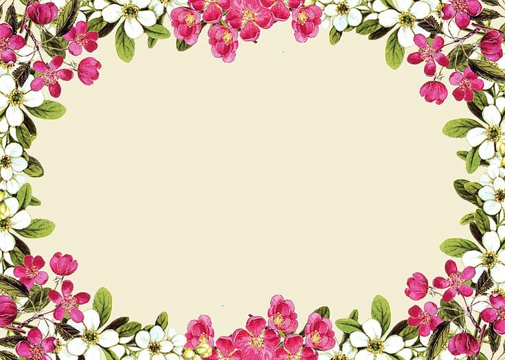 frame Flower Wedding invitation , Pink Flower Frame transparent background PNG clipart