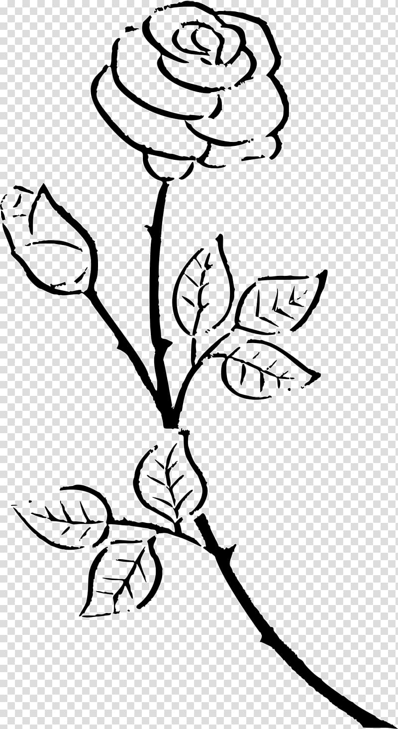 , rose outline transparent background PNG clipart